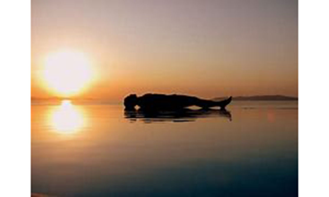 Yoganidrā – Técnica de relaxamento profundo